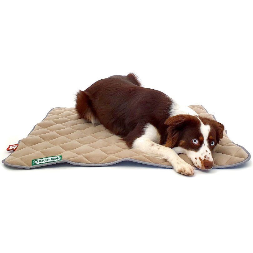 Doctor Bark Fleece Wendedecke für Hunde