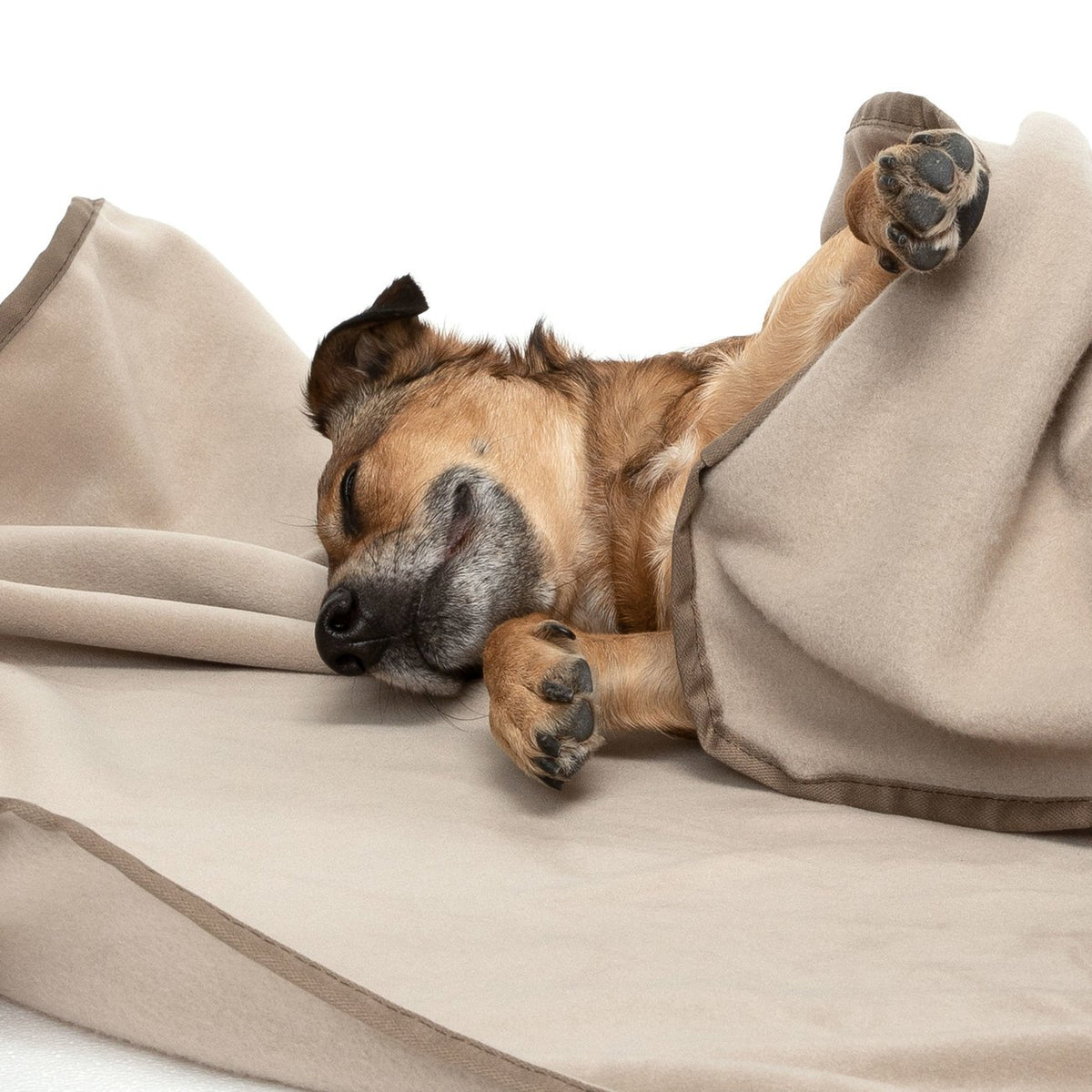 Doctor Bark Kuscheldecke Fleece für Hunde