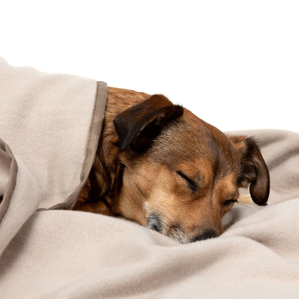 Doctor Bark Kuscheldecke Fleece für Hunde
