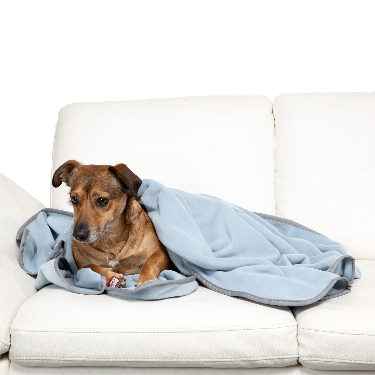 Doctor Bark Kuscheldecke Fleece für Hunde