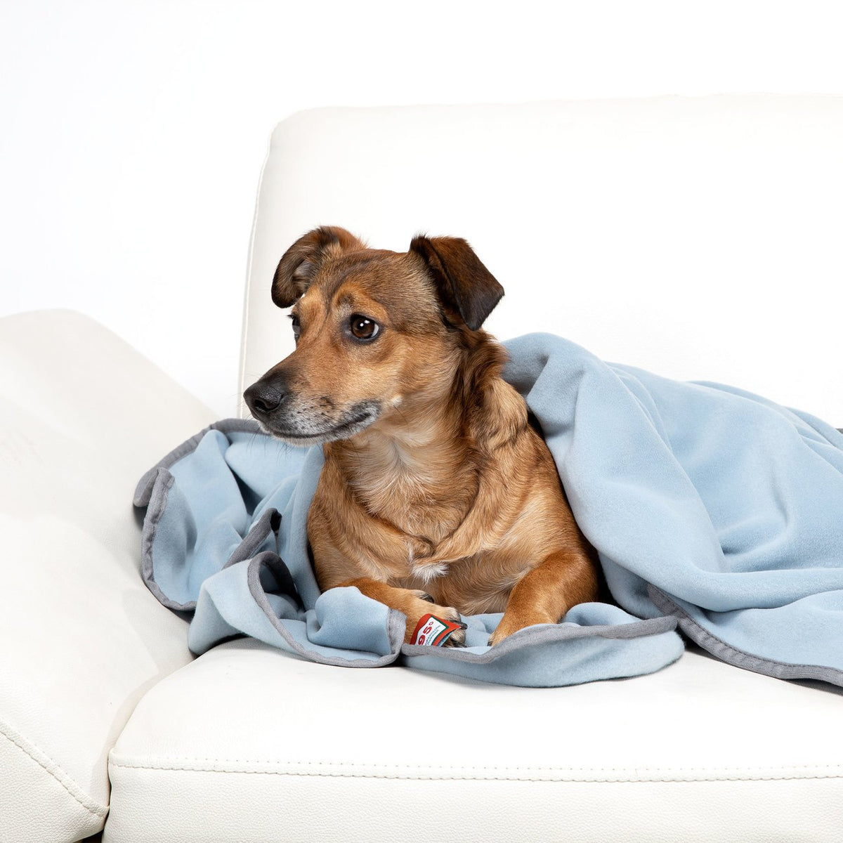Doctor Bark Kuscheldecke Fleece für Hunde