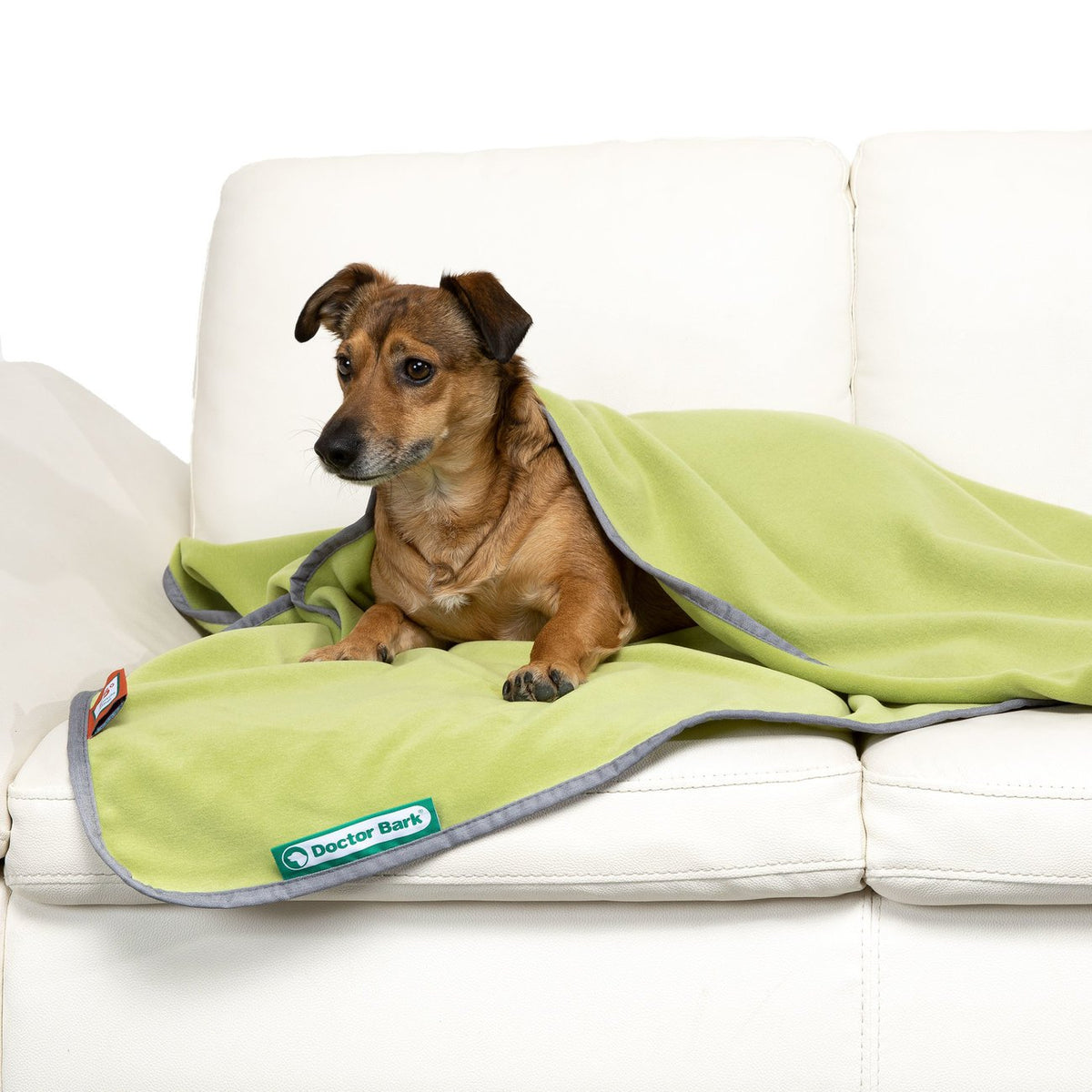 Doctor Bark Kuscheldecke Fleece für Hunde