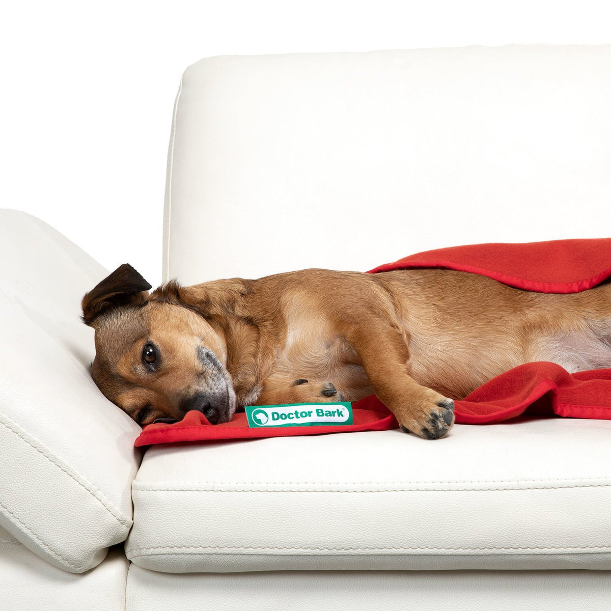 Doctor Bark Kuscheldecke Fleece für Hunde