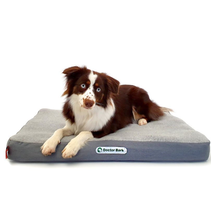 Doctor Bark orthopädische Hundematratze