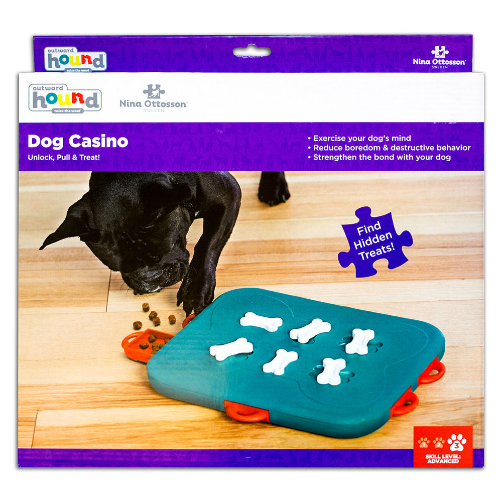 Dog Casino Hundespielzeug Plastik