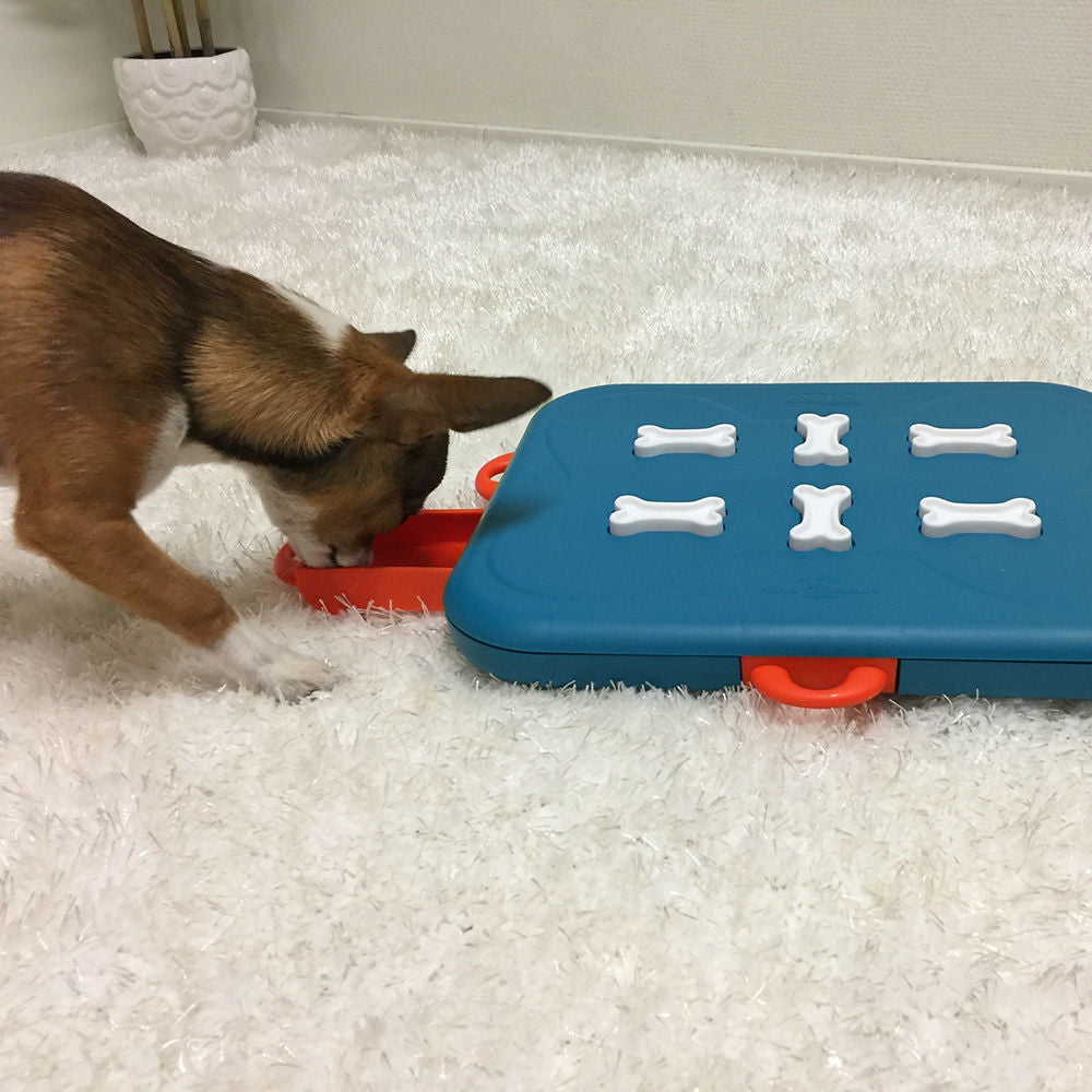 Dog Casino Hundespielzeug Plastik