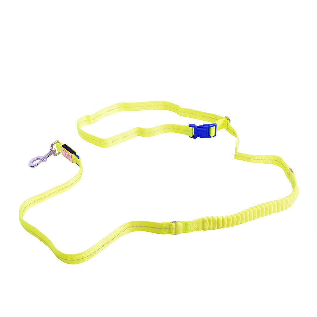 Hunde Joggingleine Mit Led Licht USB