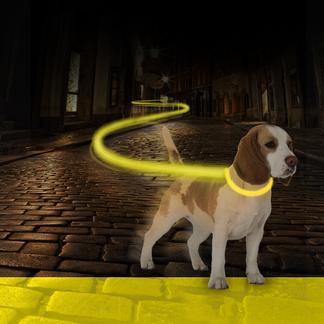 Hunde Joggingleine Mit Led Licht USB