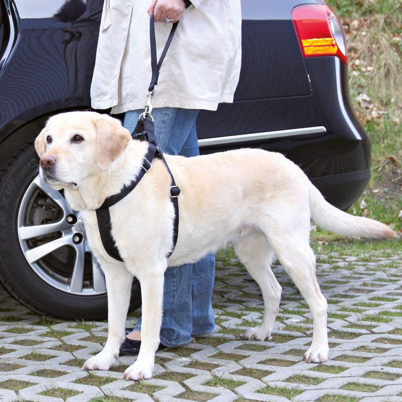 Ersatz-Kurzführer für Auto Hundgeschirr – 30 cm/45 mm