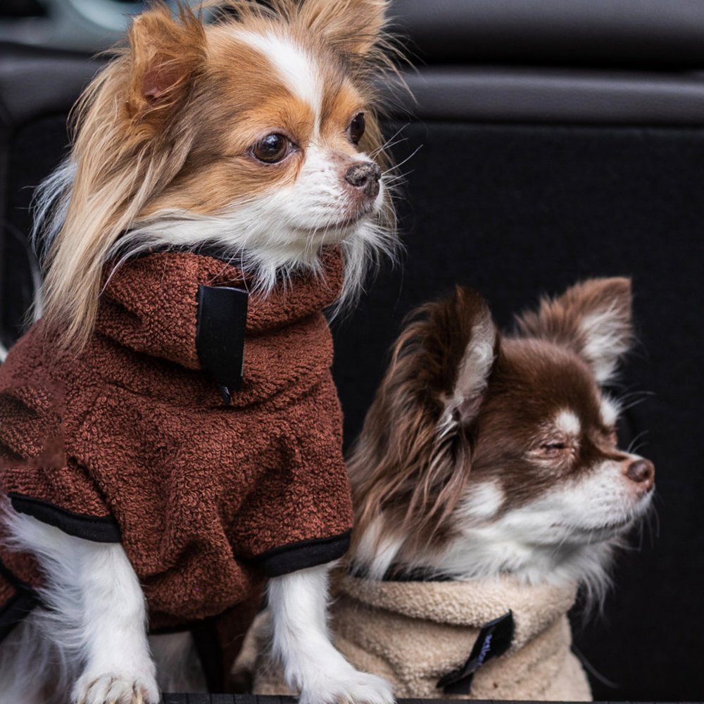 fit4dogs Dryup Cape Nano Trockenmantel für Hunde