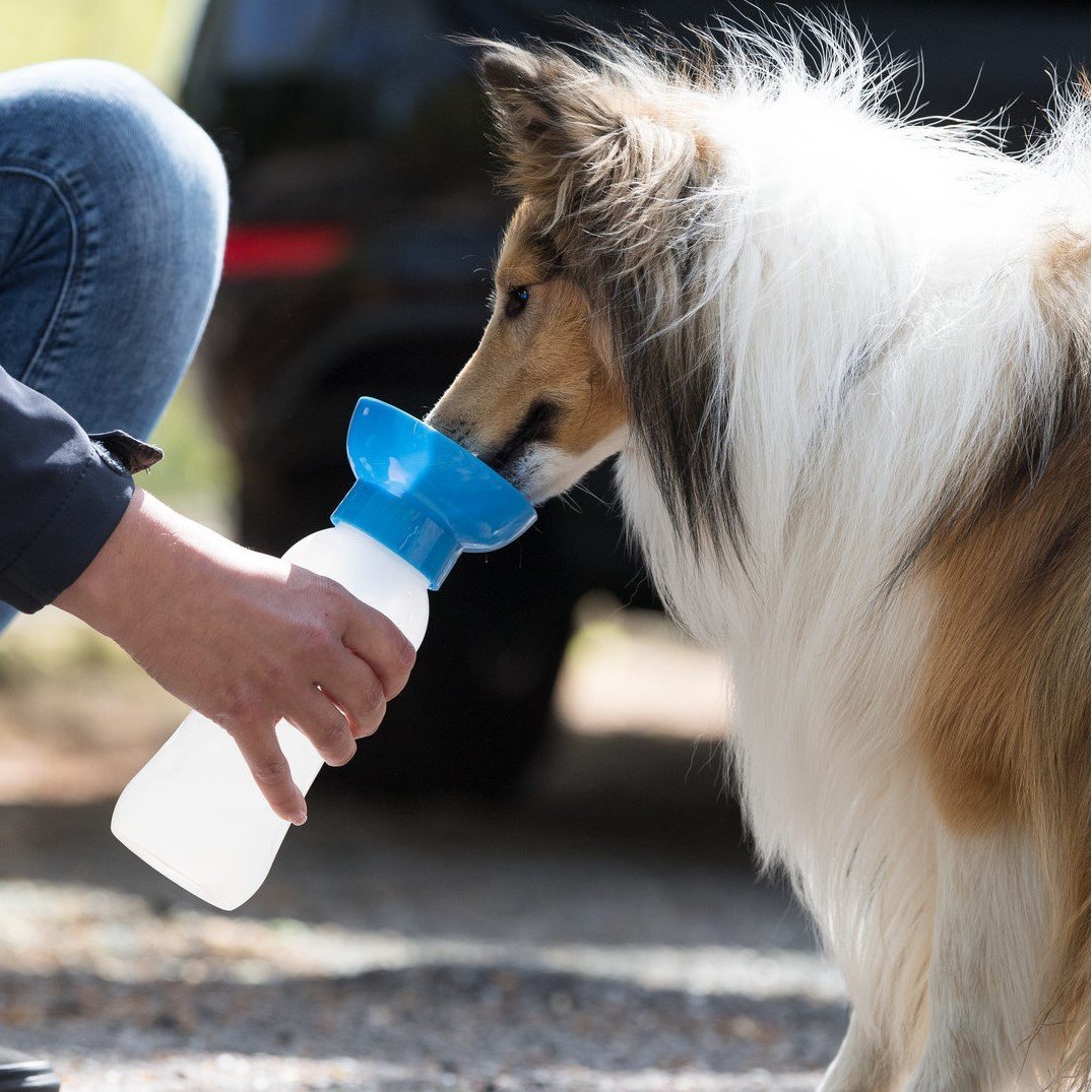 Flasche mit Trinknapf