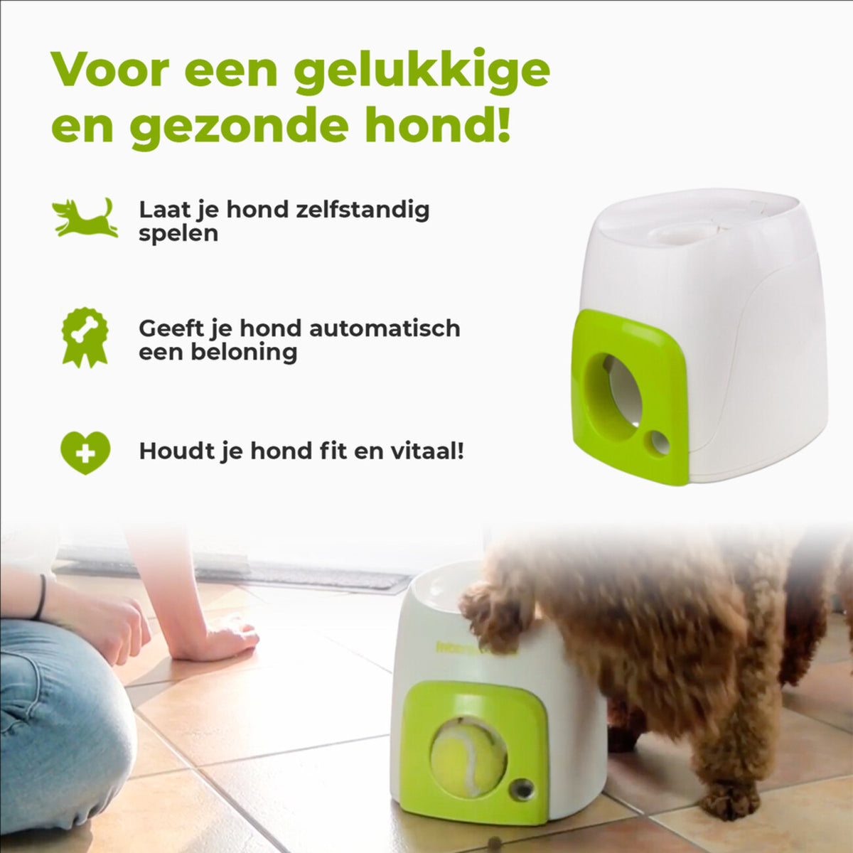 AFP Interactives Fetch'N'Treat Original Ballmaschine für Hunde