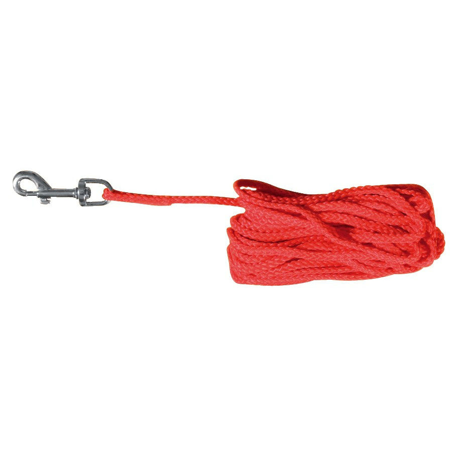 Schleppleine für Hunde aus Nylon Tau