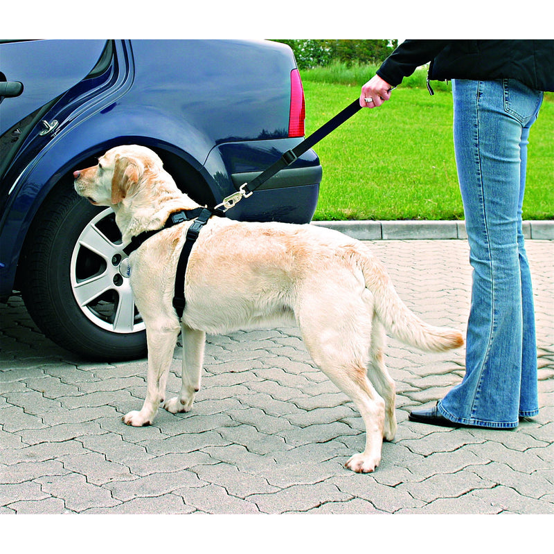 Hunde Sicherheitsgurt Sicherheitsgeschirr für das Auto