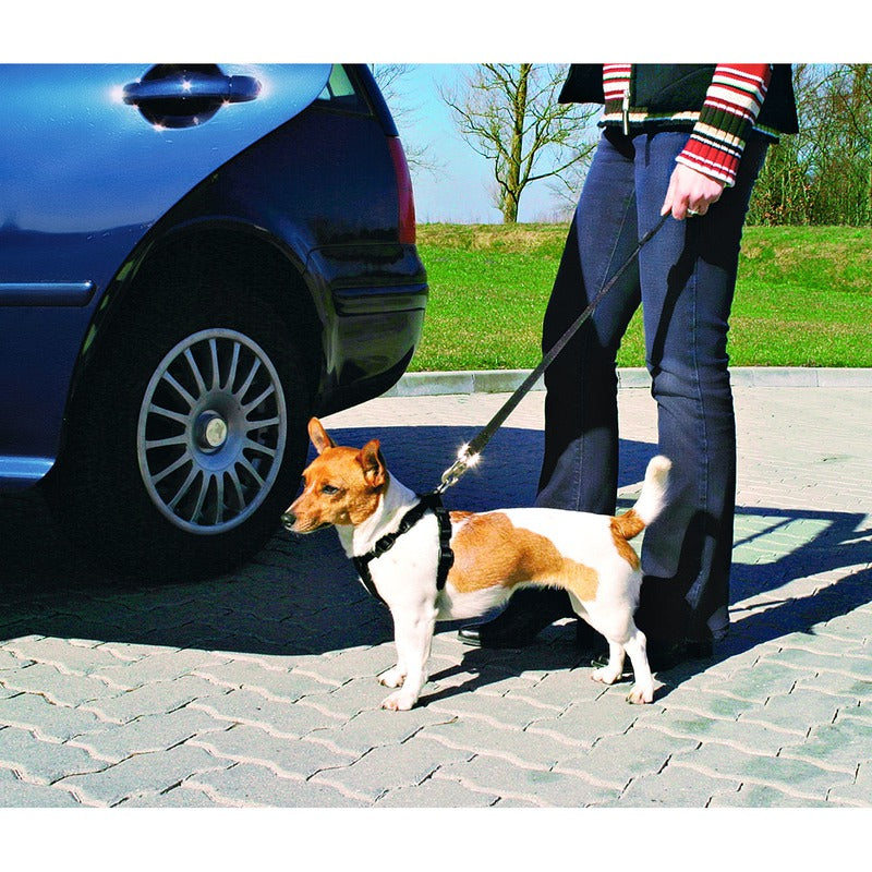 Hunde Sicherheitsgurt Sicherheitsgeschirr für das Auto