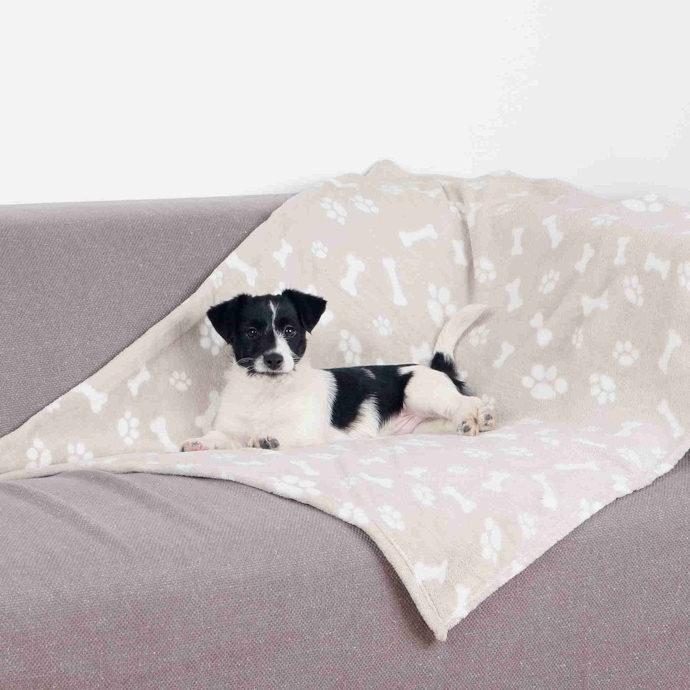 Hundedecke Kenny