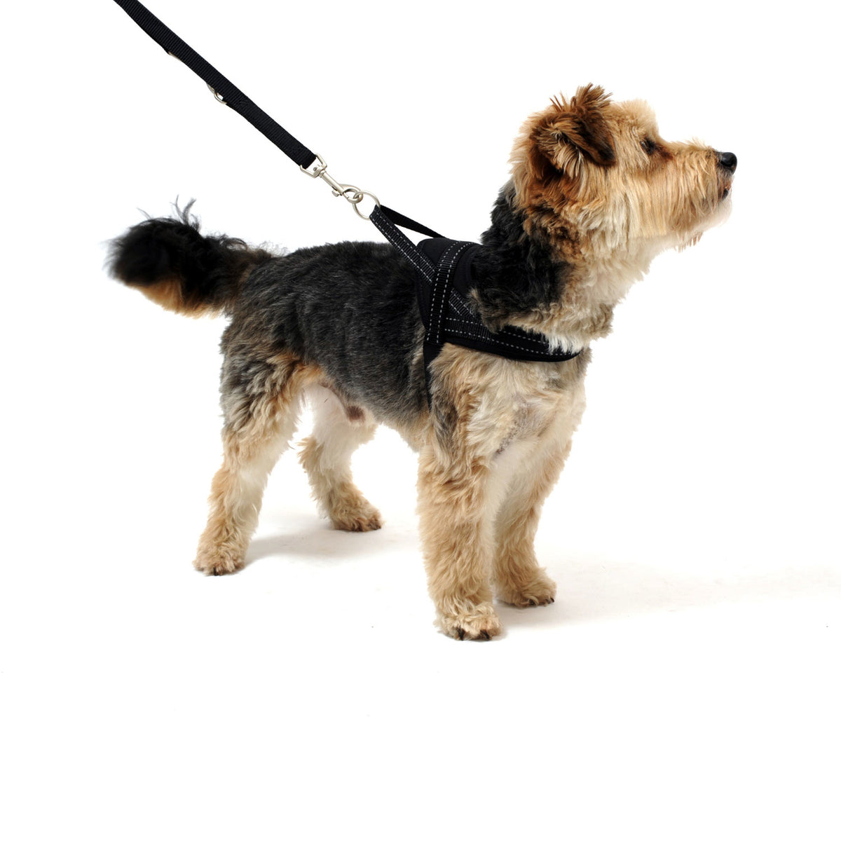 Hundegeschirr Soft & Safe reflektierend