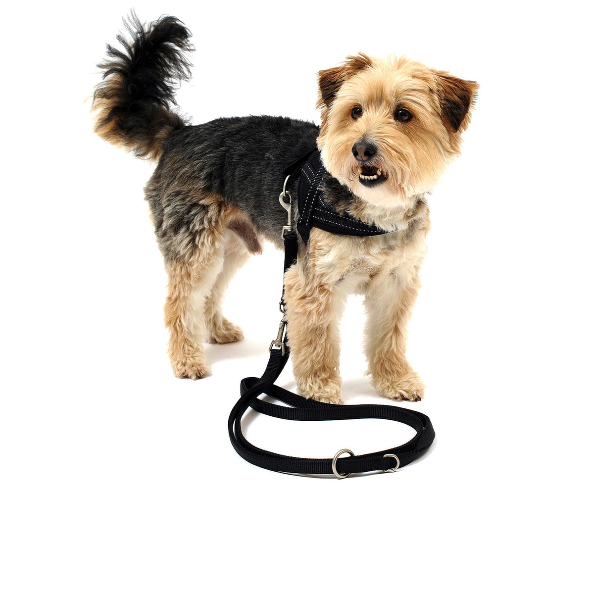 Hundegeschirr Soft & Safe reflektierend