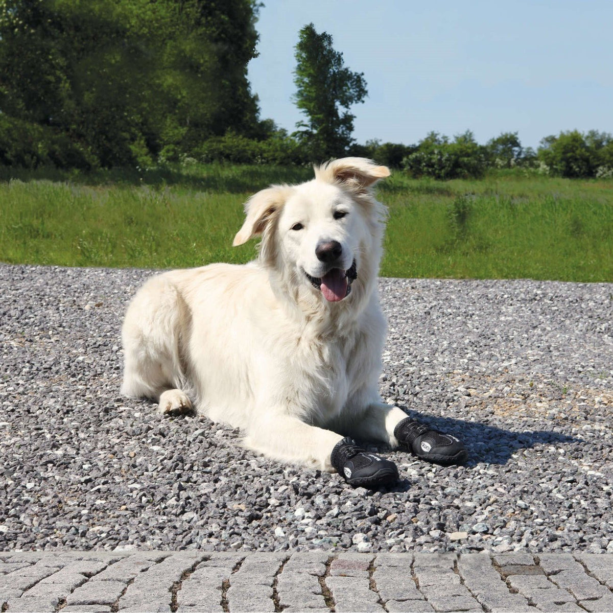 Hundeschuhe Pfotenschutz Walker Active