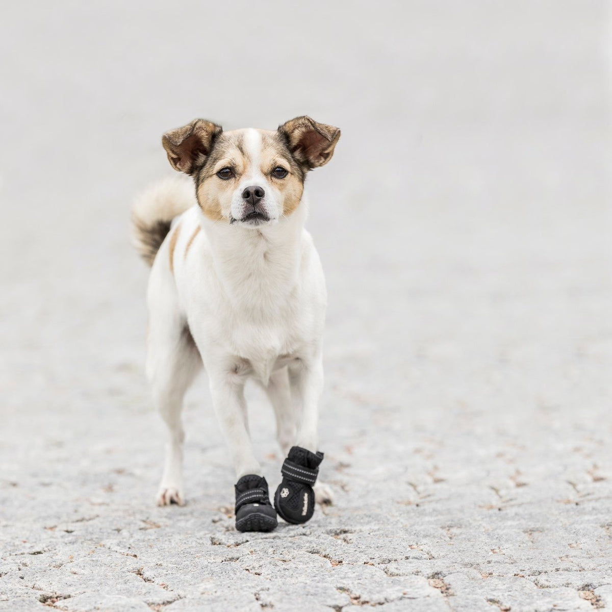 Hundeschuhe Pfotenschutz Walker Active