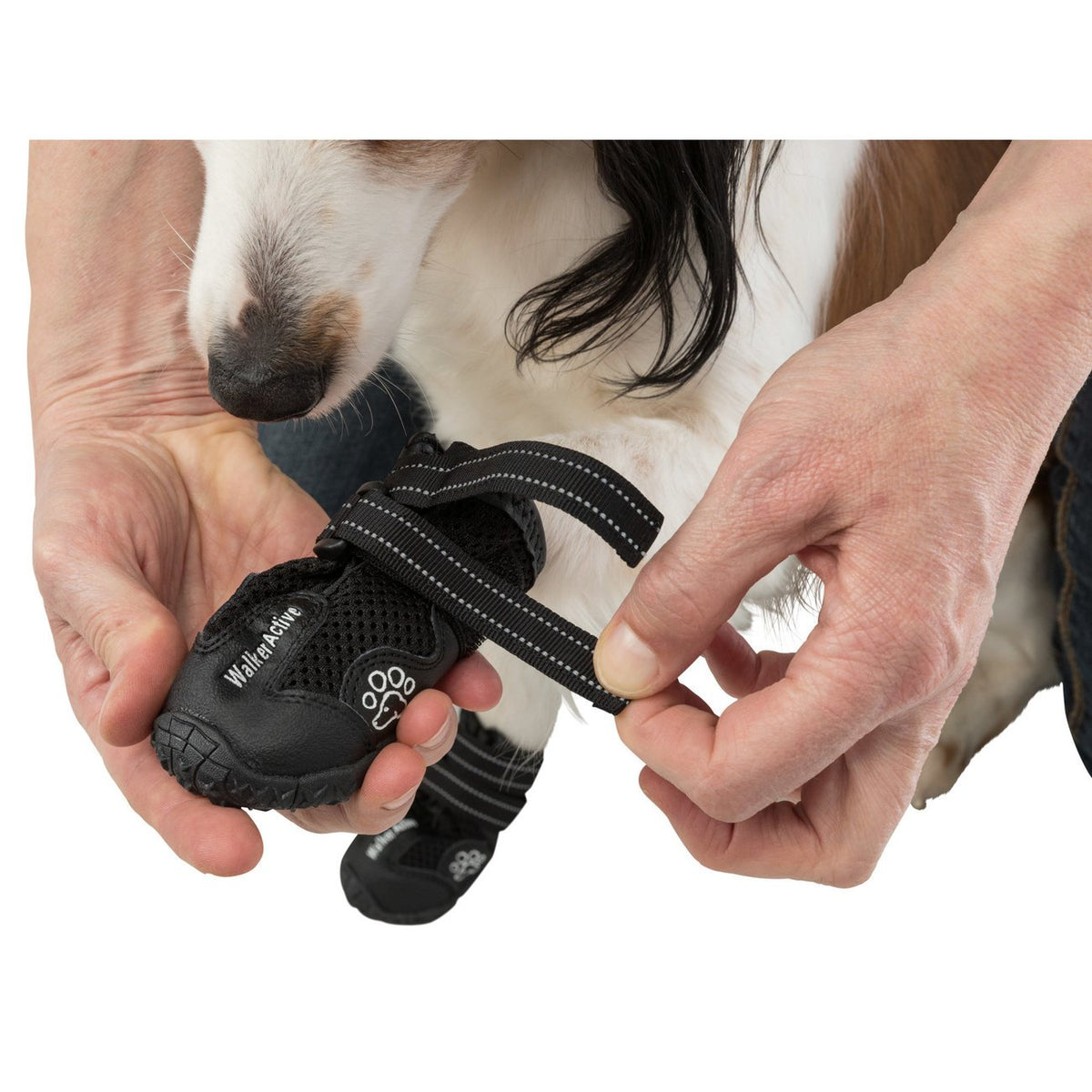 Hundeschuhe Pfotenschutz Walker Active
