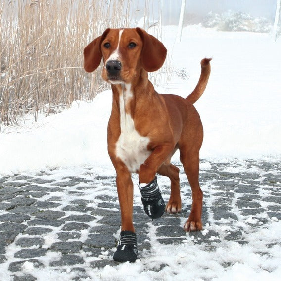 Hundeschuhe Pfotenschutz Walker Active