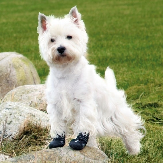 Hundeschuhe Pfotenschutz Walker Active