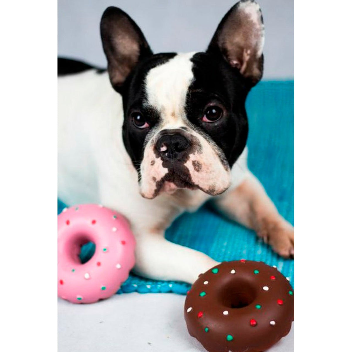 Hundespielzeug Doggy Donut aus Latex
