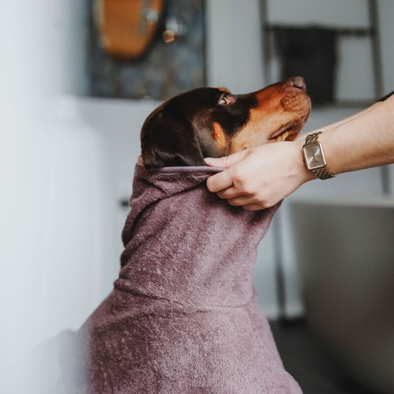 Bademantel Riga für Hunde