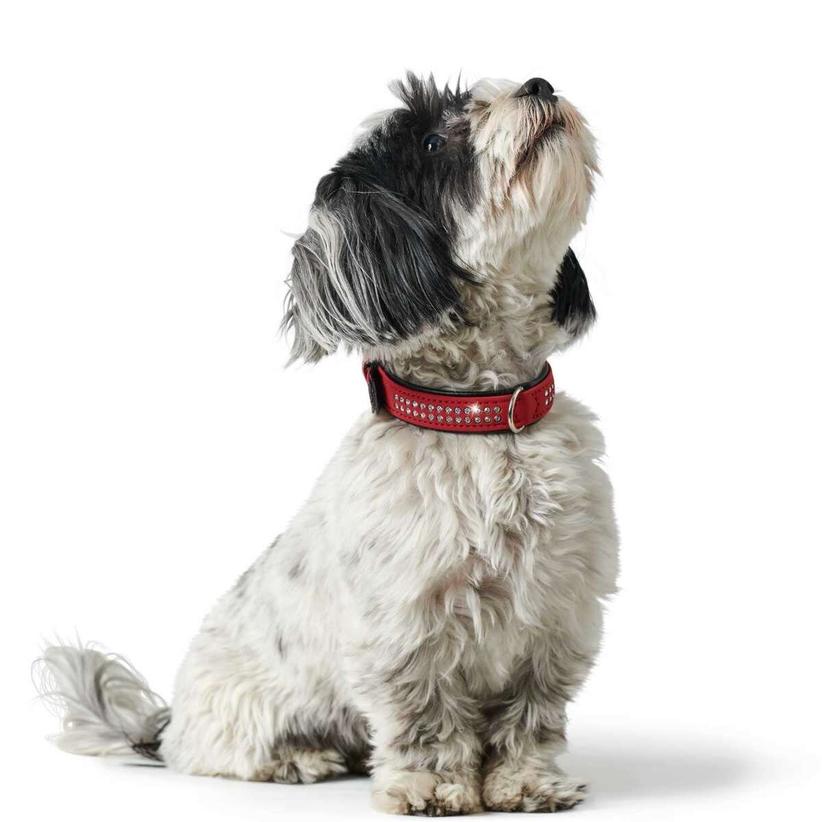 Halsband mit Swarovski Strass Softie Deluxe