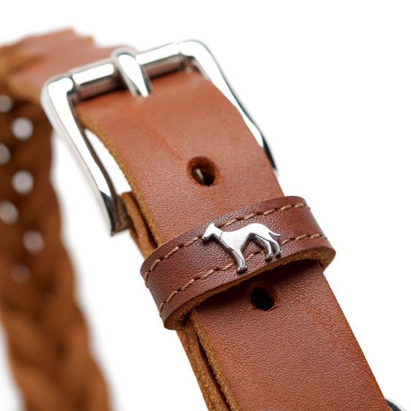 Hunter Halsband Solid Education Special