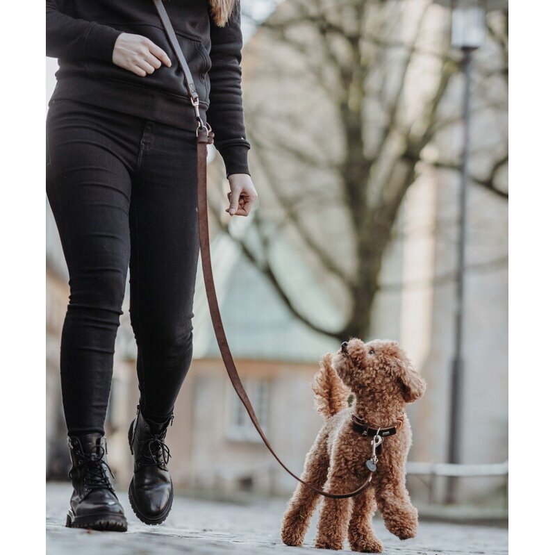 Hunde Halsung Inari Alu-Strong