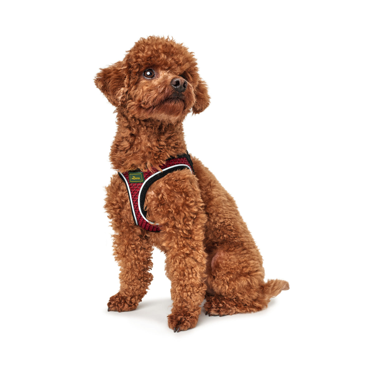 HUNTER Hundegeschirr Hilo Comfort Mesh