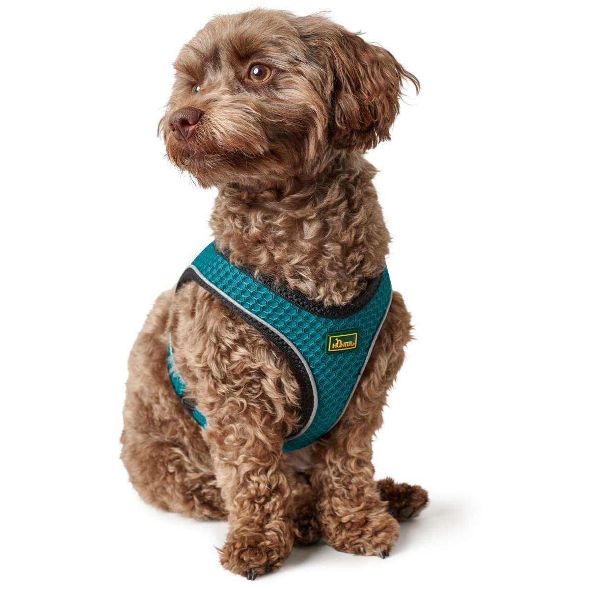 HUNTER Hundegeschirr Hilo Comfort Mesh