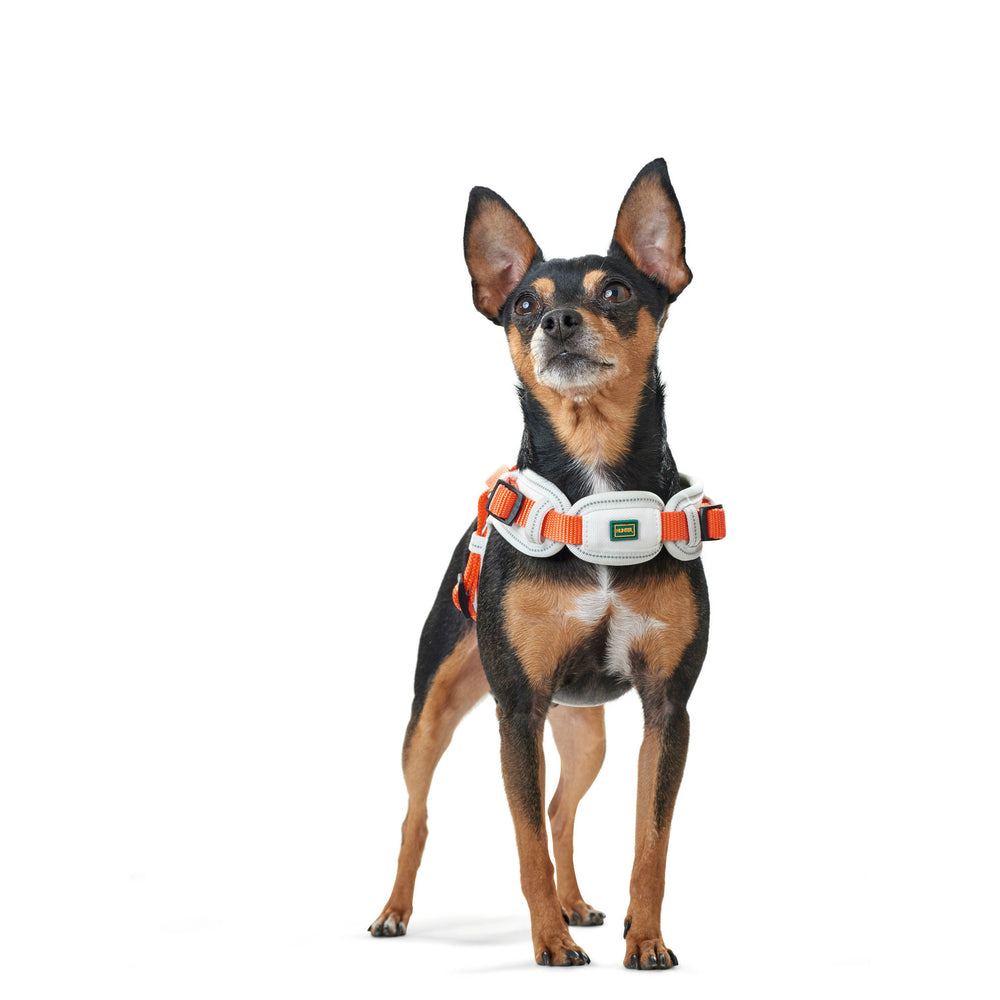 Hunter Hundegeschirr Neopren Vario Quick