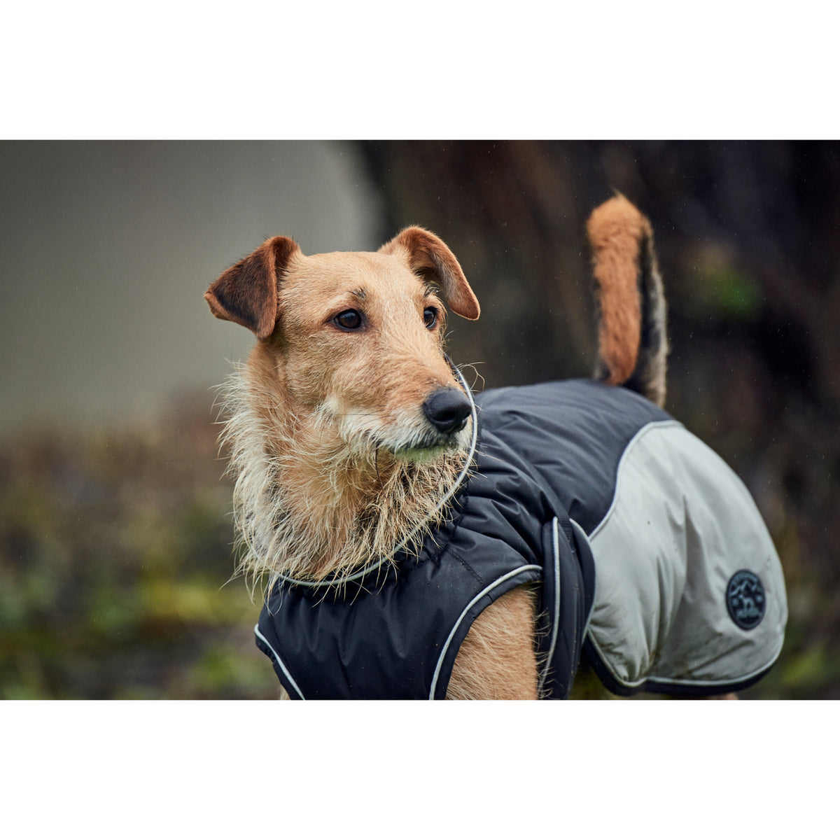 Hunter Hundemantel Uppsala Cozy