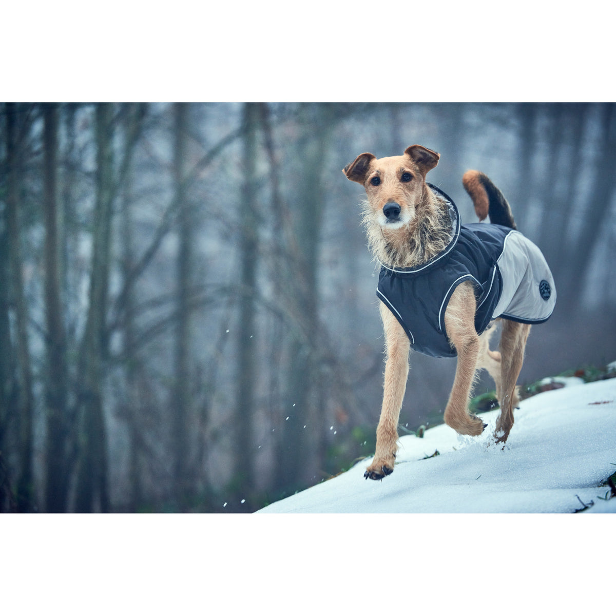 Hunter Hundemantel Uppsala Cozy