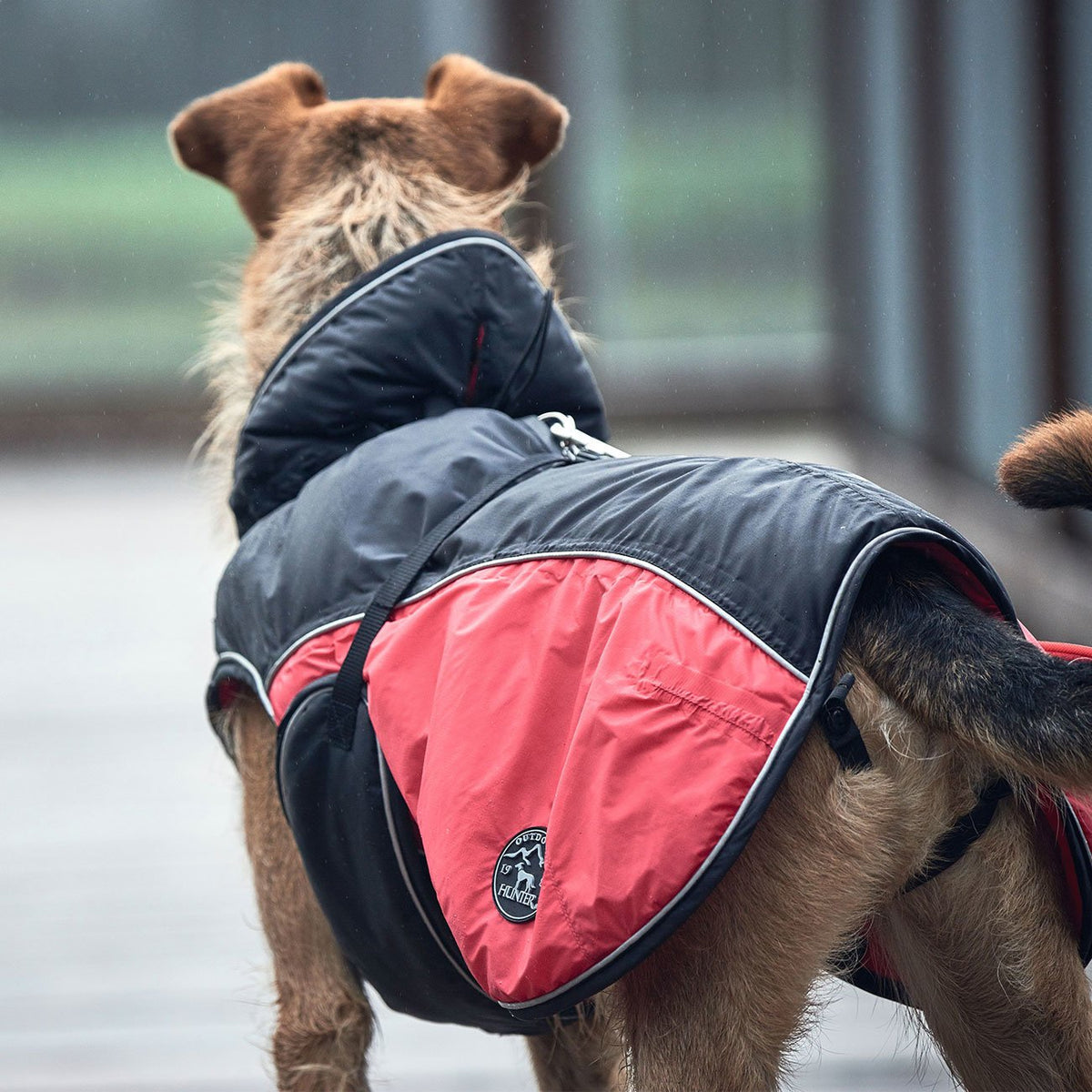 Hunter Hundemantel Uppsala Cozy