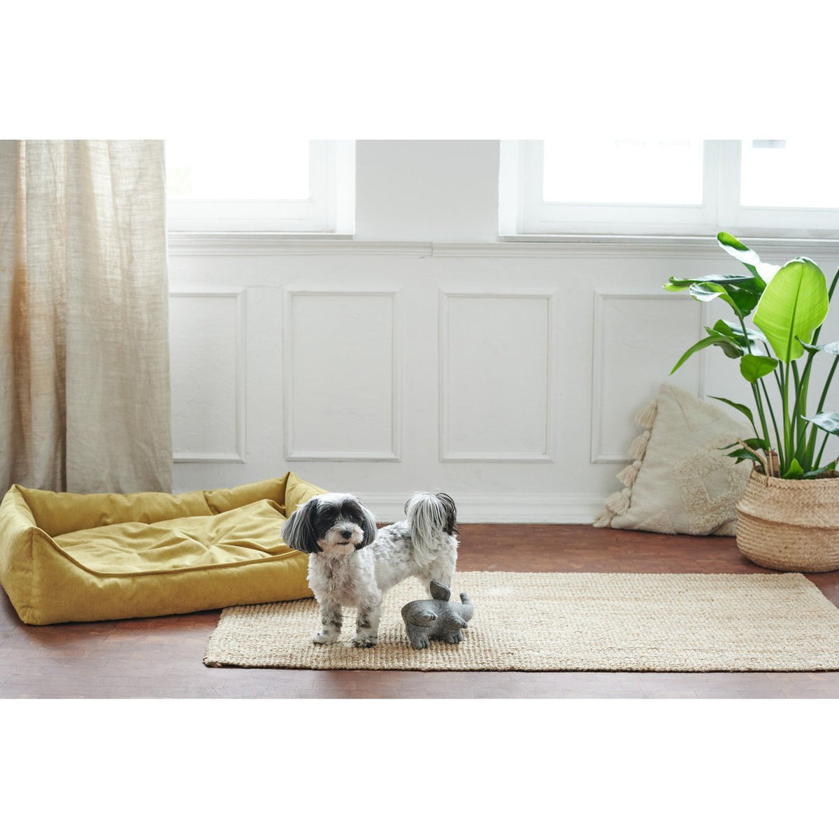 Hundesofa Eiby