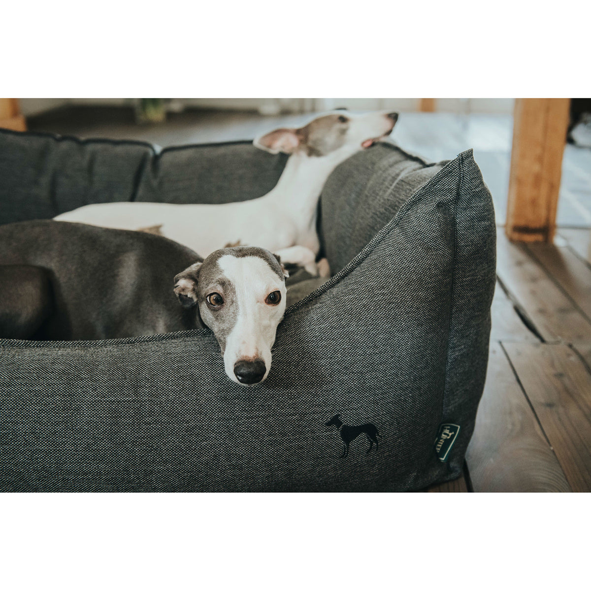 Hunter Hundesofa Livingston
