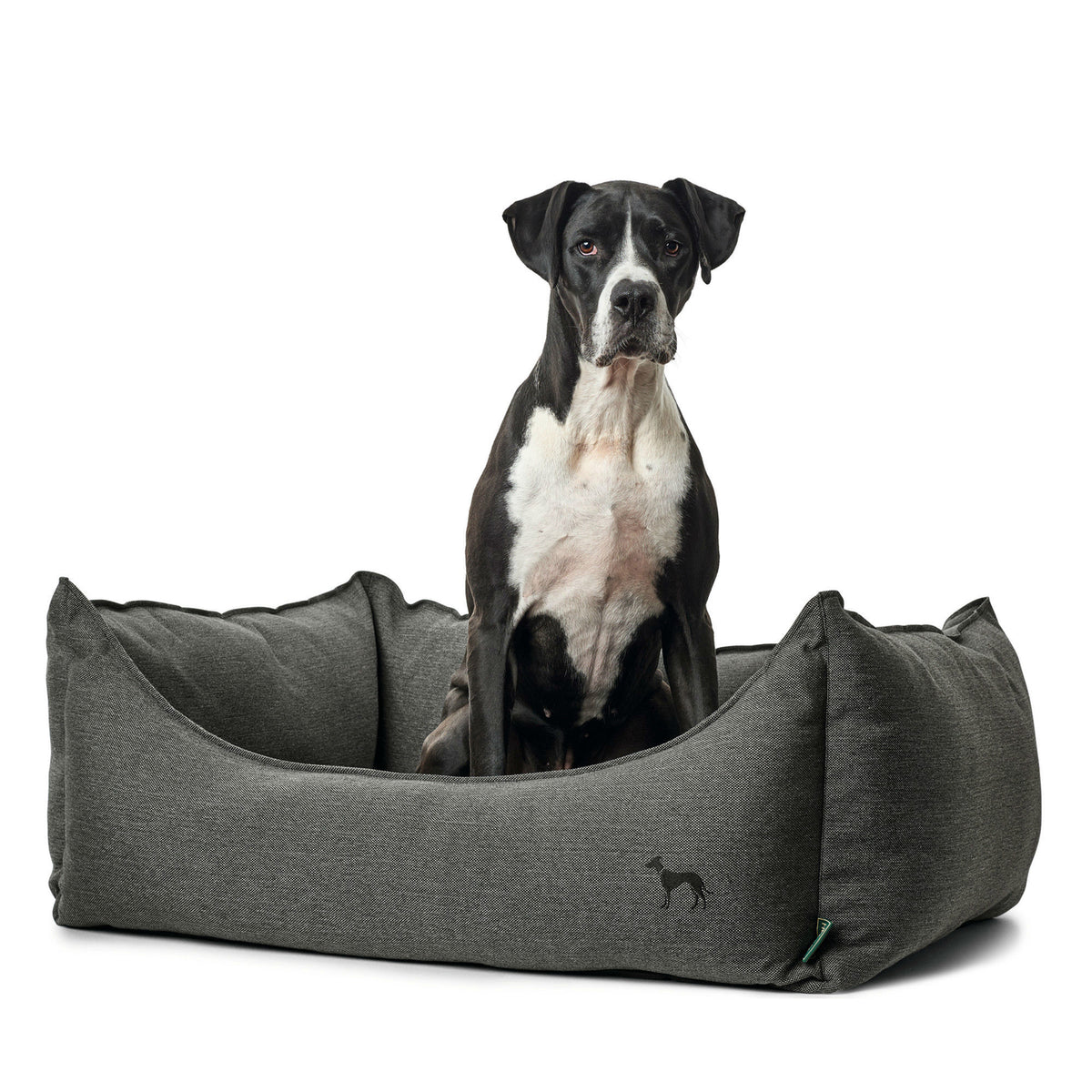 Hunter Hundesofa Livingston