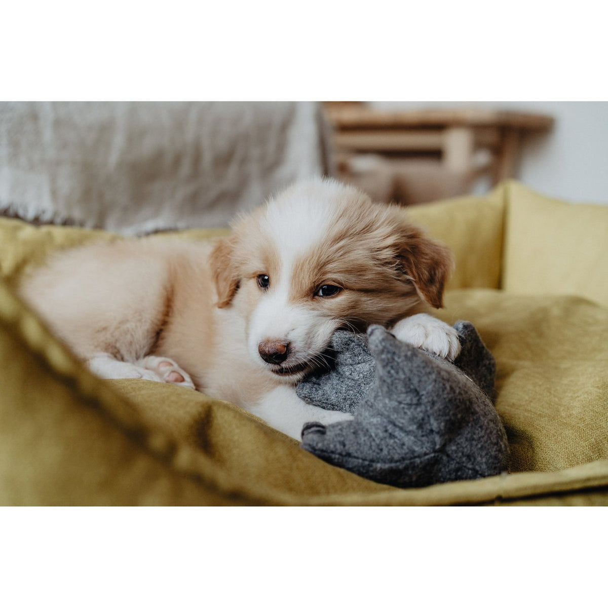 Hundespielzeug Eiby
