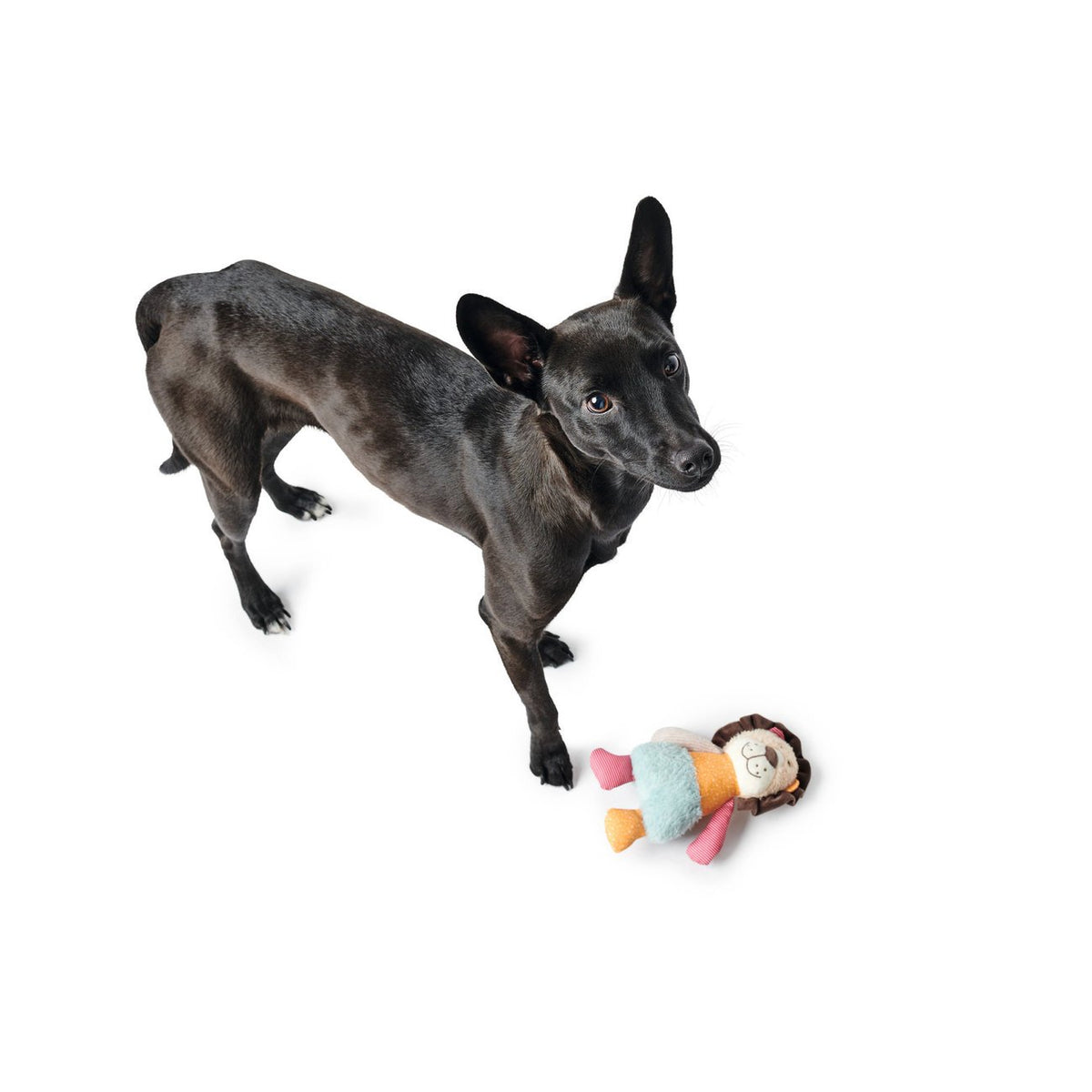 Hunter Hundespielzeug Muli – Löwe, 18 cm