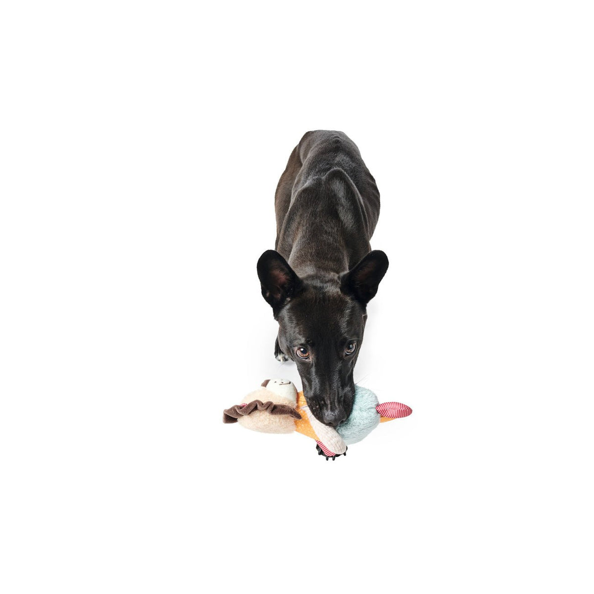 Hunter Hundespielzeug Muli – Löwe, 18 cm