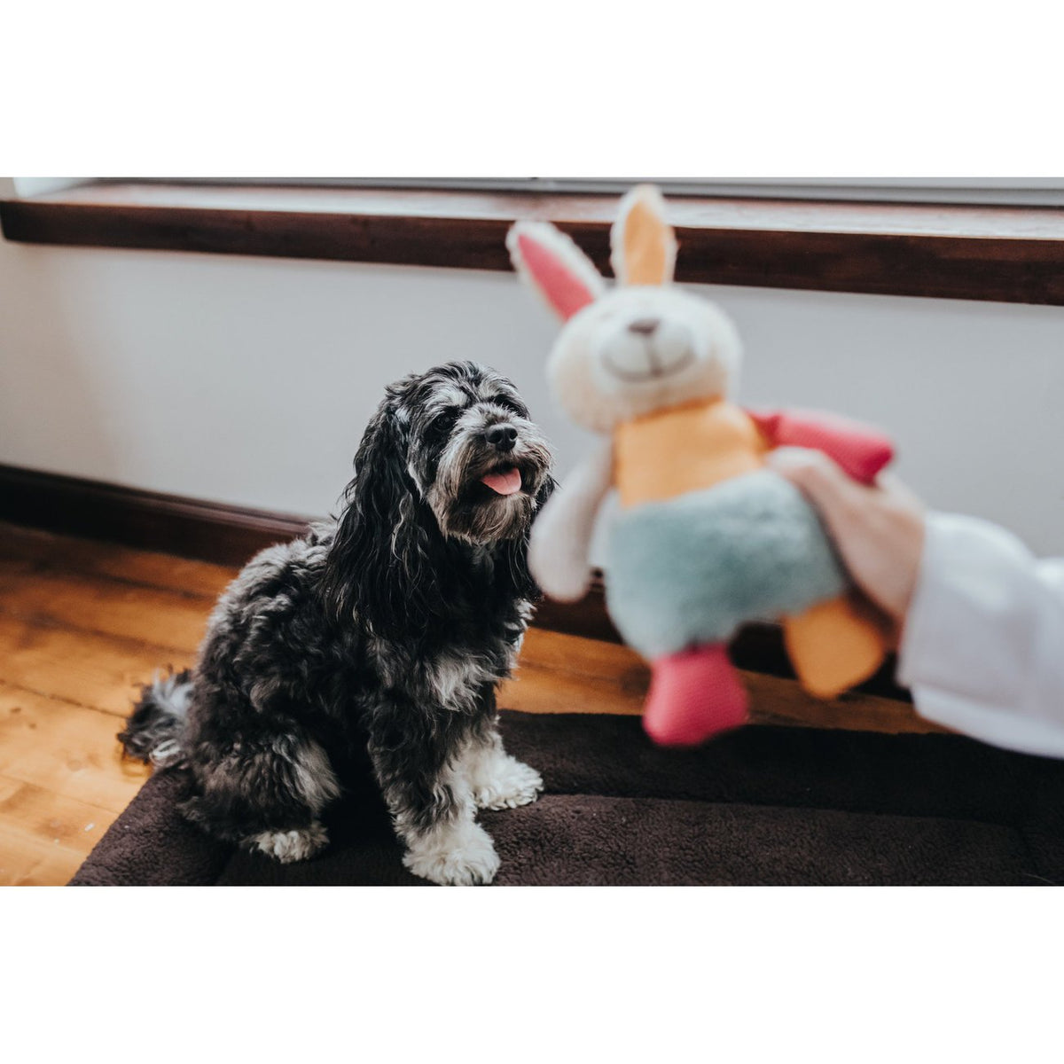 Hunter Hundespielzeug Muli – Hase, 18 cm