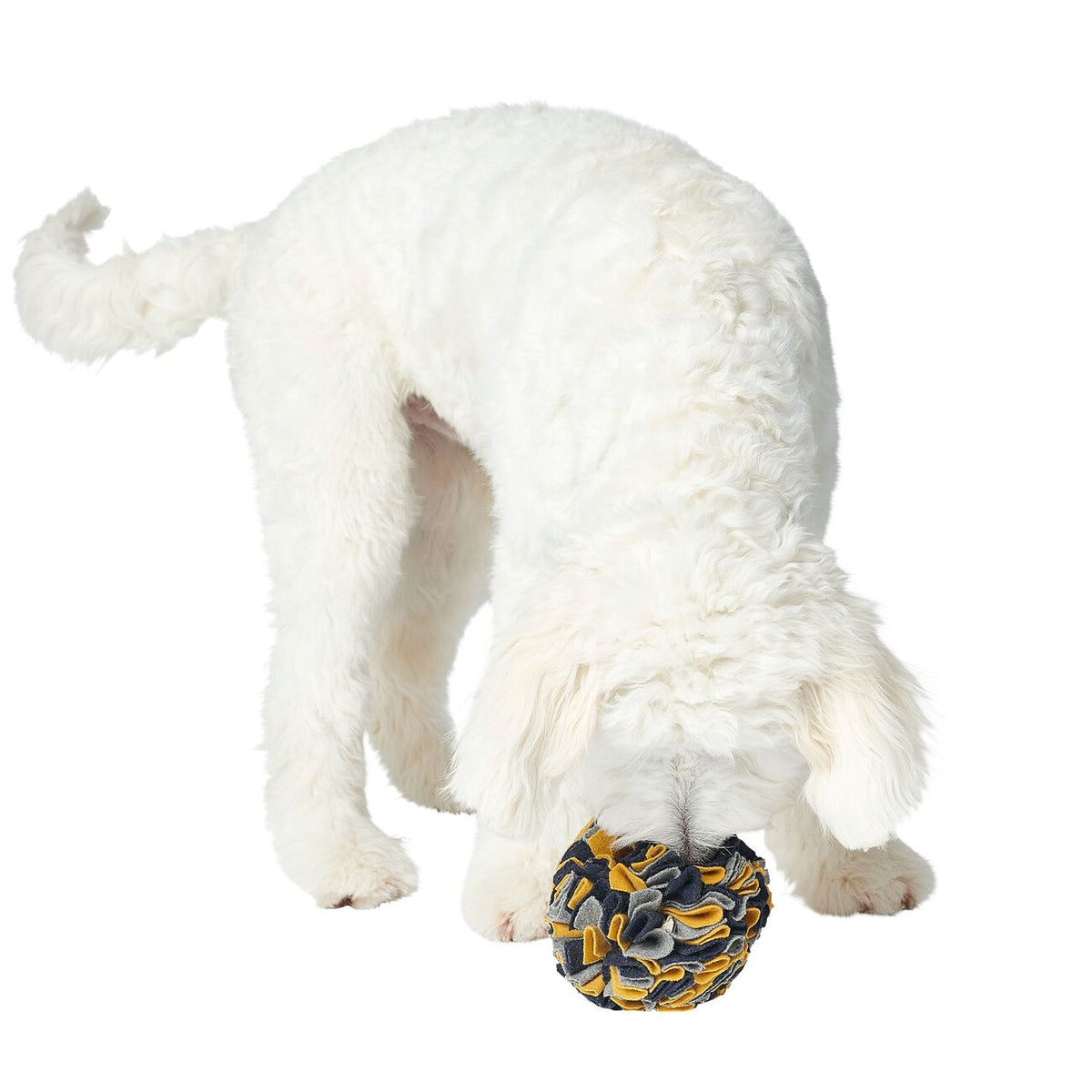 Schnüffelball Eiby für Hunde