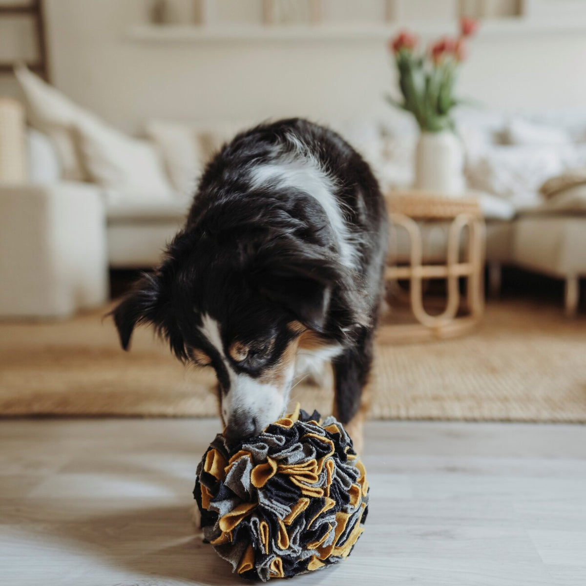 Schnüffelball Eiby für Hunde