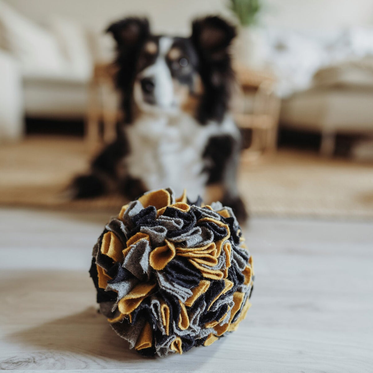 Schnüffelball Eiby für Hunde