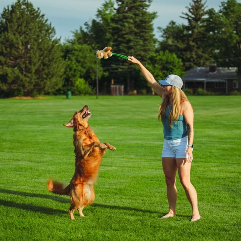 Wurf Hundespielzeug FLINGERZ™
