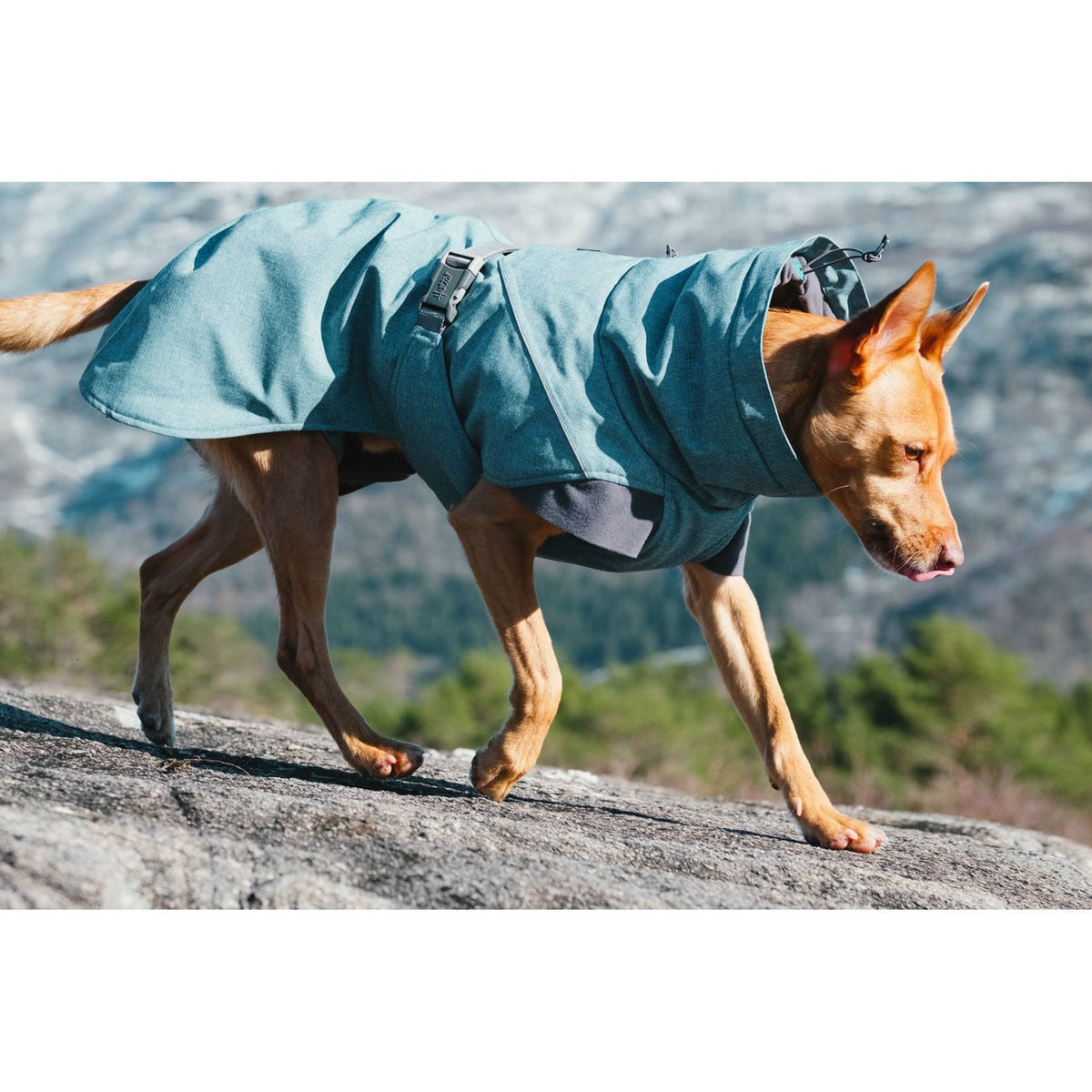 Expedition Wintermantel für Hunde